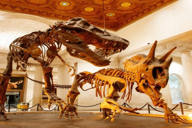 Natural History Museum of Los Angeles County